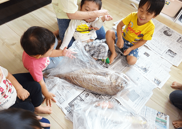 おっきなお魚が保育園に届きました。